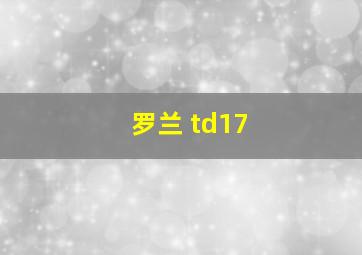 罗兰 td17